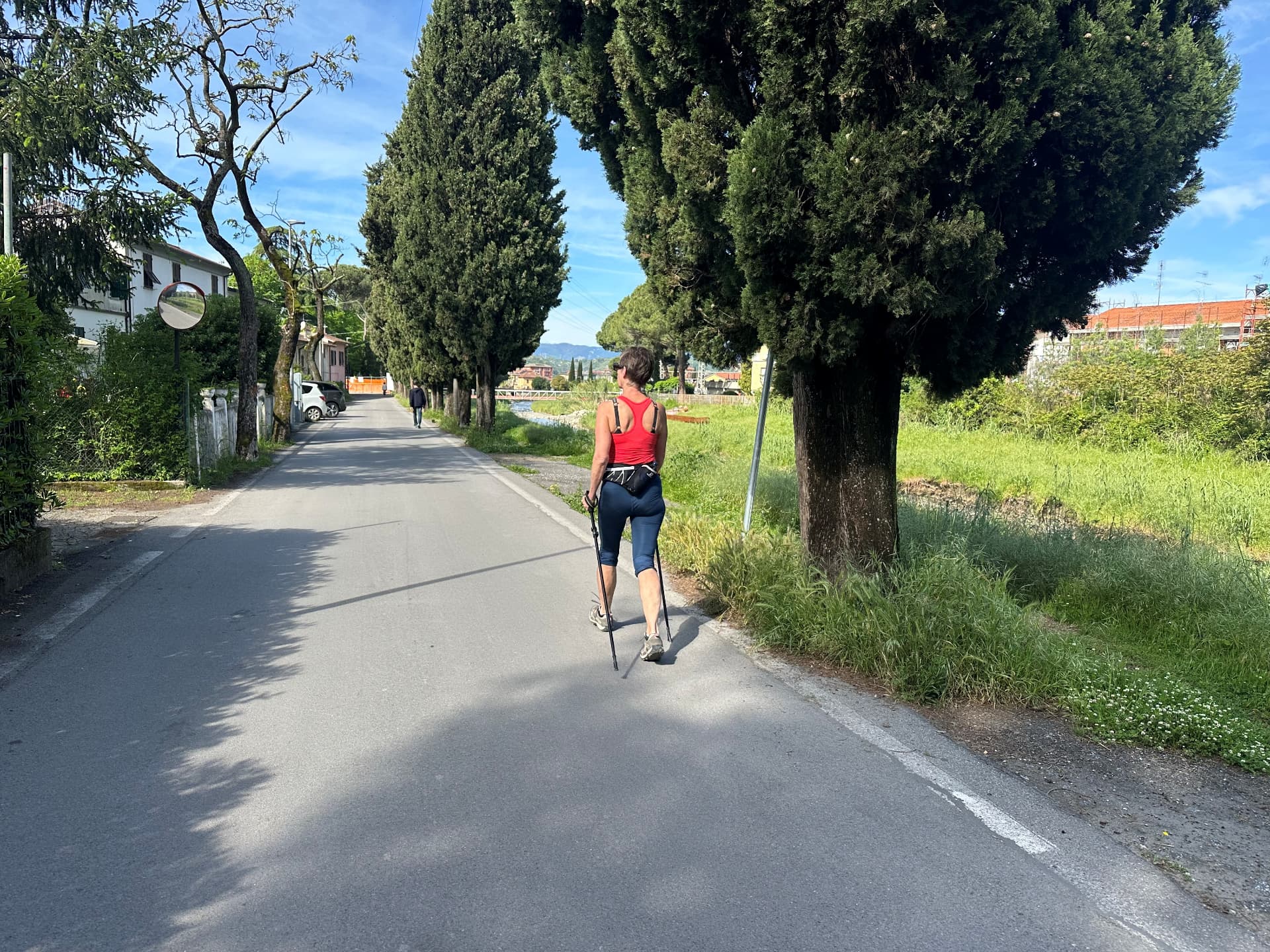 Nordic walking on a cypress-lined road near Sarzana